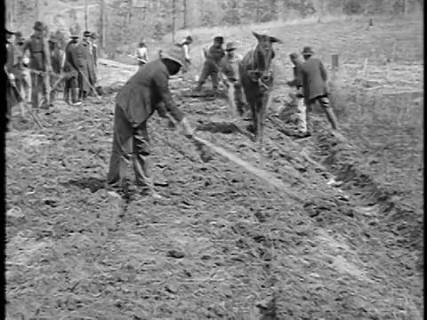 1920年的佃农在耕地/一人用骡子耕种/美国南部/纪录片视频下载
