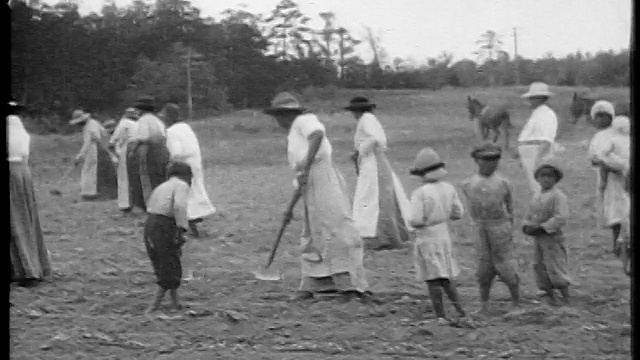 B/W 1920 PAN黑人妇女+儿童在田里锄地/美国南部/纪录片视频下载