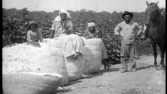 1920年黑人佃农家庭坐在户外田间的棉花包上/美国南部/ doc。视频下载
