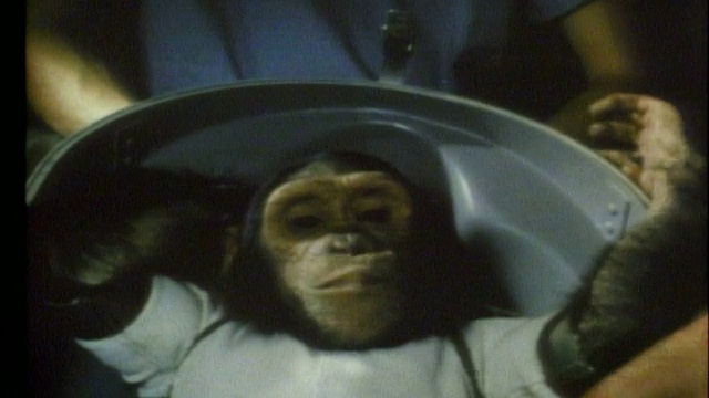 黑猩猩宇航员的特写视频下载