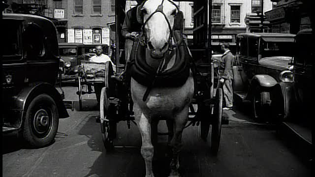 城市街道/马+四轮马车/纽约市的后轮视角视频素材