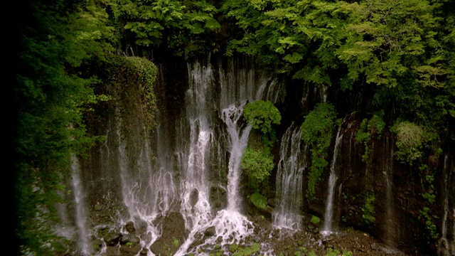 从富士山向下倾斜到日本森林中的白松瀑布视频下载