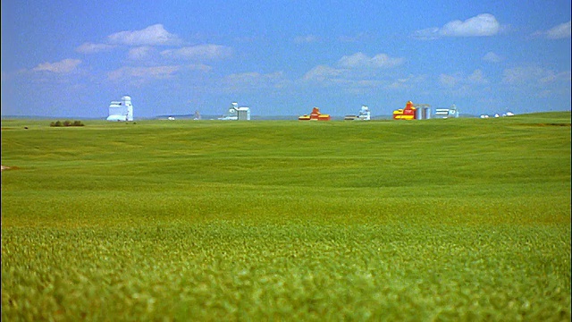 宽阔的绿色麦田，远处有谷物升降机/ Hussar，不列颠哥伦比亚省视频下载
