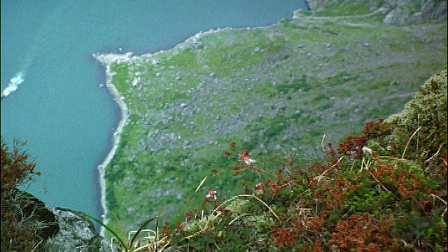 低角度慢镜头3人从陡峭的悬崖上跳下，朝着下方的水域(斯塔万格，挪威)视频素材