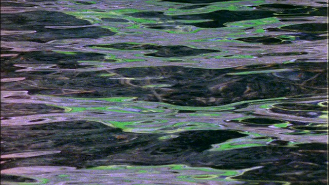 近距离观察缓慢移动的湖水视频素材