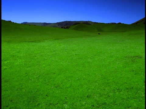宽阔的镜头郁郁葱葱的绿色田野与山的背景+蓝色的天空视频下载