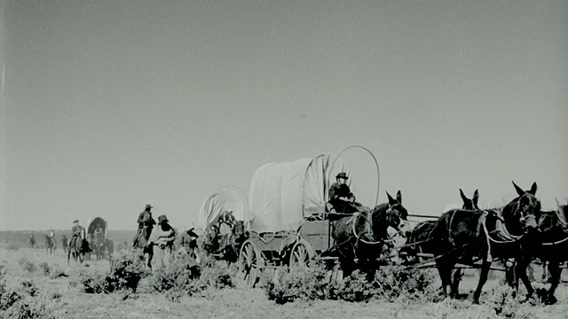 1850年的重演，人们骑着有篷的马车，马+在马车队中行走在平原上视频下载