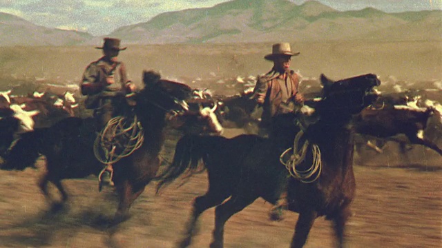 19世纪的REENACTMENT tracking拍摄了两个牛仔骑着马和牛在平原上奔跑/比利小子视频素材