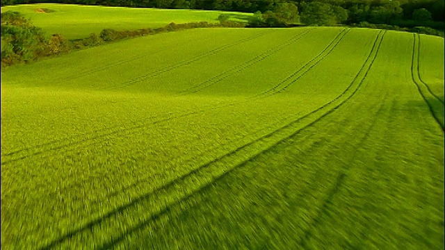 丹麦兰兰Helletotte绿色+黄色起伏农田的鸟瞰图视频素材