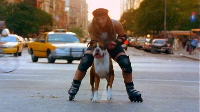 慢镜头:一只大狗拉着一名穿着旱冰鞋的女子沿着城市街道走向摄像机/纽约市视频下载
