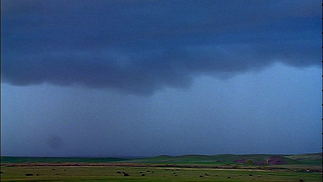 宽镜头时间推移风暴云，雨+闪电平原与动物放牧视频素材