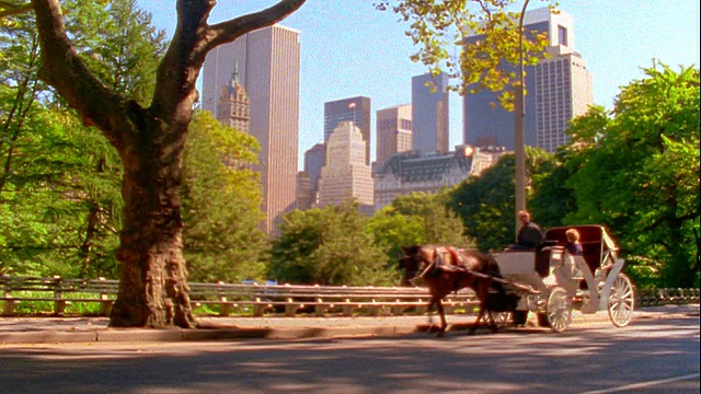 慢镜头白色马车+骑马穿过中央公园/纽约摩天大楼视频素材