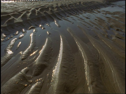 入口的小溪凝结着湿沙的波纹。视频素材