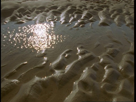 水潭在波纹的沙子之间。视频素材