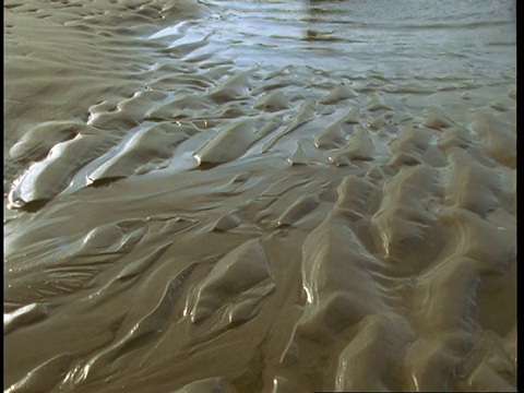 进水口的水在湿沙上泛起涟漪。视频素材