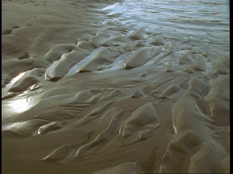 一条进水口的小溪在湿沙波纹之间缓缓流淌。视频素材