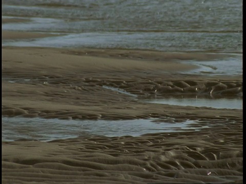 进水口填满了潮湿的波纹沙之间的空隙。视频素材