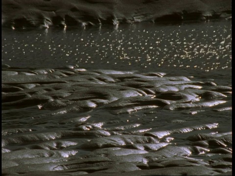 进水口的水流冲刷着潮湿的波纹沙。视频素材