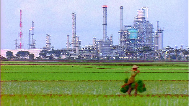 农民扛着篮子走在稻田里经过炼油厂/西爪哇视频素材