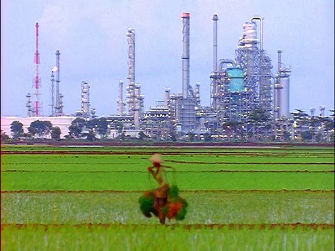 农民扛着篮子走在稻田里经过炼油厂/西爪哇视频素材