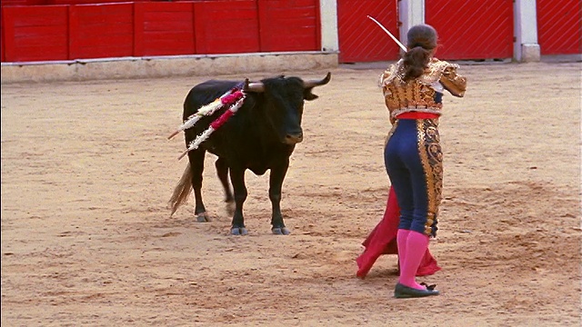 女斗牛士与斗篷+剑躲闪与斗牛士在颈部/波哥大，哥伦比亚视频素材