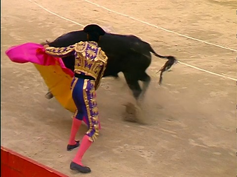 慢动作高角度斗牛士站在一边，公牛穿过粉红色+黄色斗篷视频素材