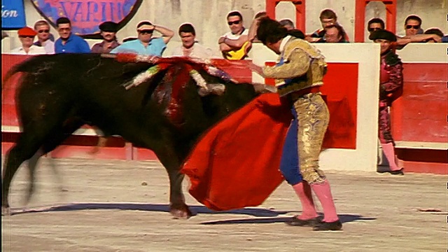 斗牛士使用红色斗篷来嘲弄在脖子上/观众背景与火枪攻击血腥的公牛视频素材
