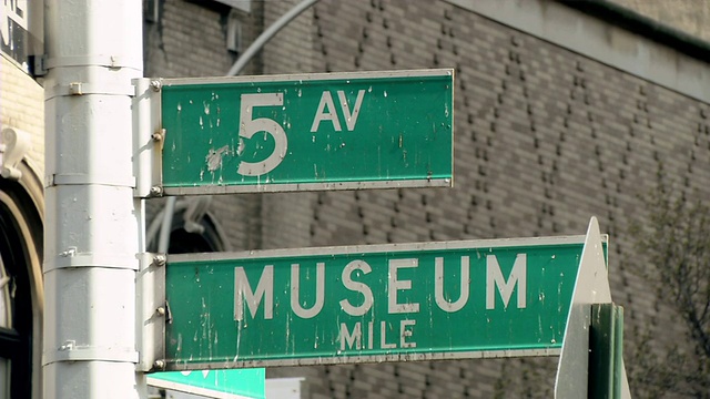美国纽约，5th Av和Museum Mile的街道标志上覆盖着鸟粪视频下载