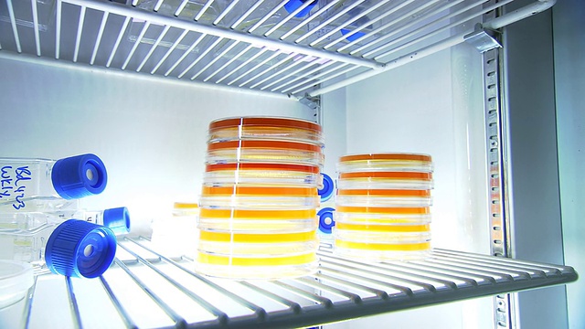 图为美国弗吉尼亚州的冰箱，打开装有培养皿和塑料实验室容器的实验室冰箱的门视频下载