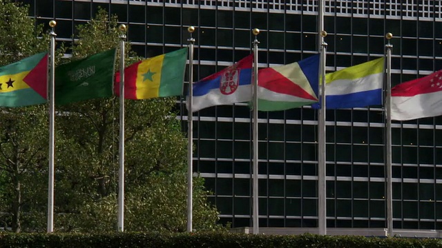屠呦呦在联合国总部前拍摄了几个国家飘扬的国旗视频下载