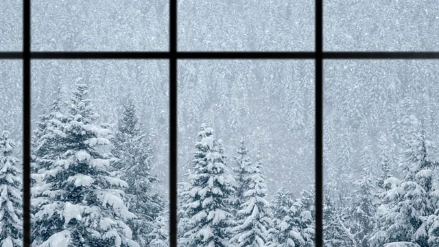 美丽的冬季景色，雪花落在松树上，循环视频素材