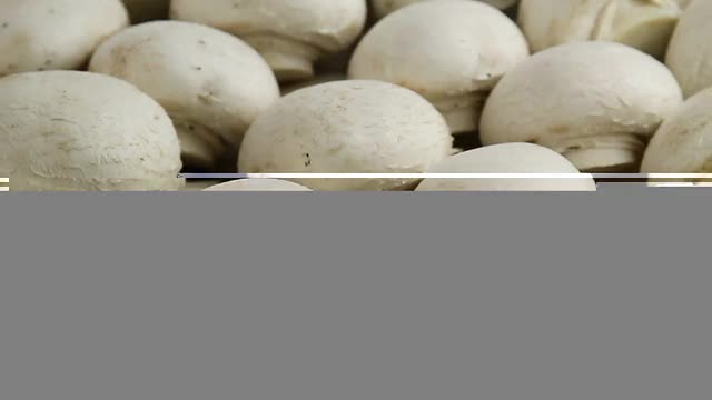 白蘑菇,背景视频素材