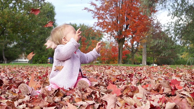 落叶落在一个小女孩身上视频素材