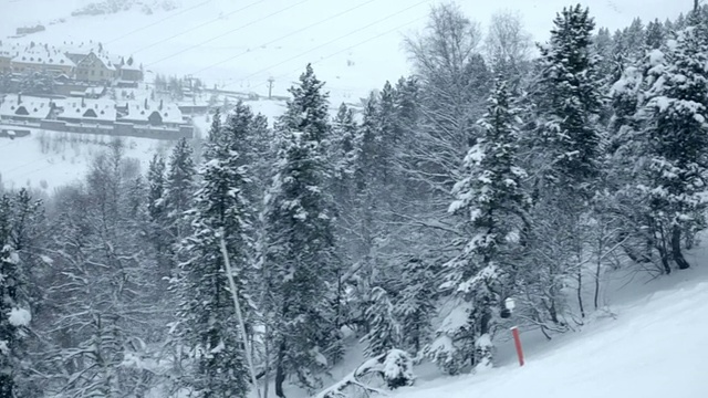 森林和空中的滑雪者视频素材