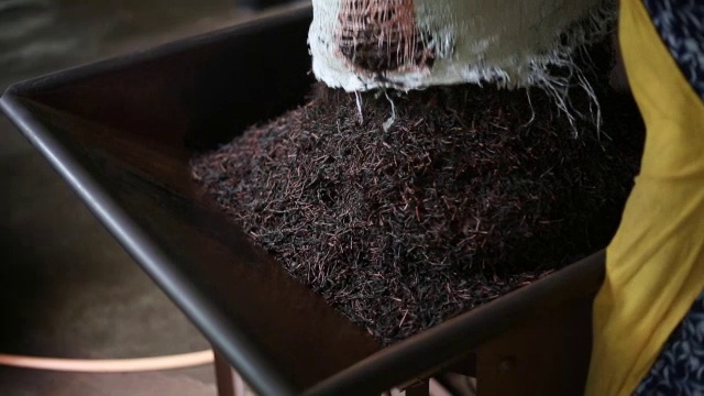 茶工厂视频素材