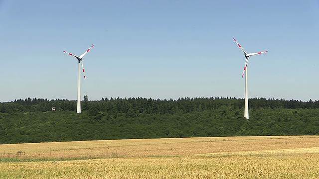 玉米田和风力涡轮机/ Hermeskeil，莱茵兰-普法尔茨，德国视频素材