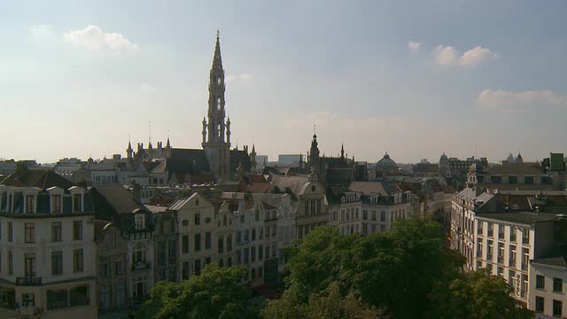 布鲁塞尔的WS T/L屋顶和宏伟的市政厅。一帧一帧/布鲁塞尔，布鲁塞尔首都地区，比利时视频下载