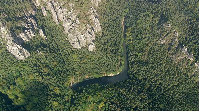 易北河附近森林的WS AERIAL DS视图/德国视频素材