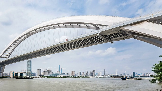 拉潘卢浦大桥/中国上海视频下载