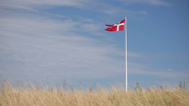 沙丘上挂着丹麦国旗视频下载