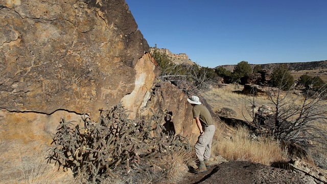 高清视频徒步者欣赏岩石雕刻面板科罗拉多州东南部视频素材