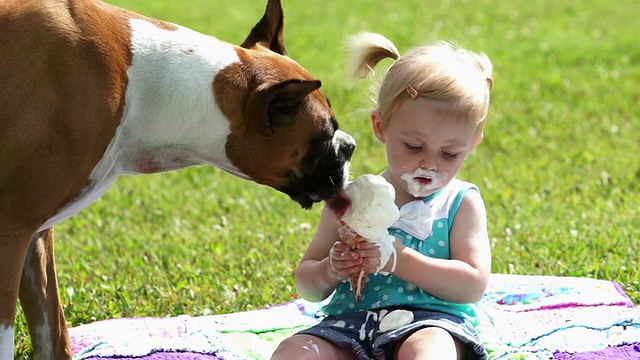 蹒跚学步的孩子和小狗分享冰淇淋视频素材