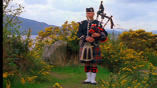 苏格兰因弗内斯，一名穿着苏格兰短裙的男子在灌木丛旁吹着风笛视频素材