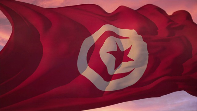 突尼斯国旗视频素材