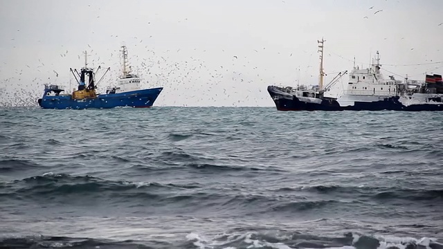 北海的拖网渔船视频素材