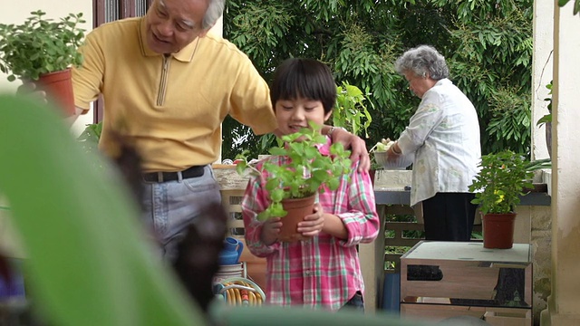 中国祖父母和孙子烹饪视频素材