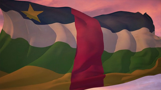 中非旗帜视频素材