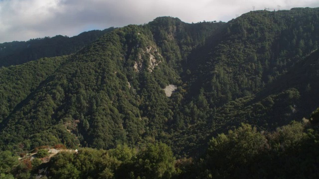 飞越加州圣加布里埃尔山脉的森林。2010年拍摄的。视频下载