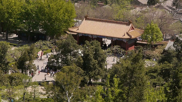 景山公园，东入口，树木，中国北京视频下载