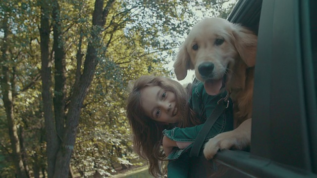 HD:可爱的小女孩和狗在车里。视频下载